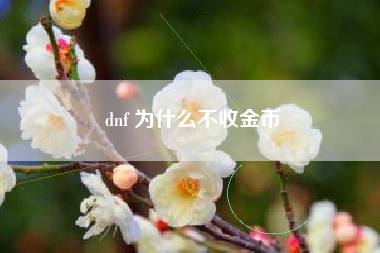 dnf 为什么不收金币
