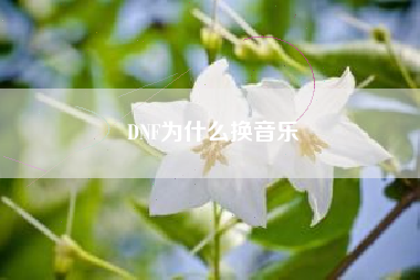 DNF为什么换音乐
