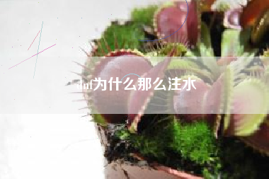 dnf为什么那么注水