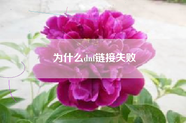 为什么dnf链接失败