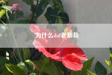 为什么dnf老制裁