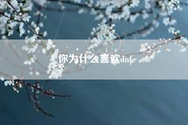 你为什么喜欢dnf