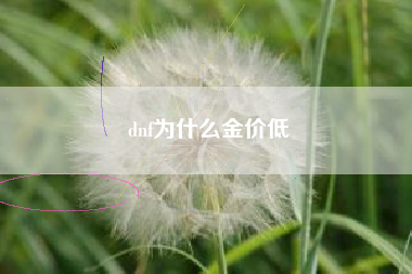 dnf为什么金价低