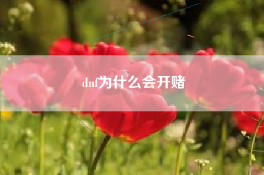 dnf为什么会开赌