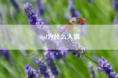 dnf为什么人偶