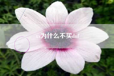 tx为什么不买dnf