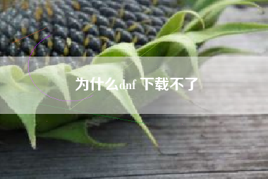 为什么dnf 下载不了