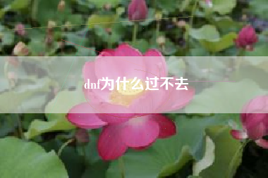 dnf为什么过不去