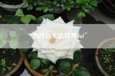 为什么无法打开dnf