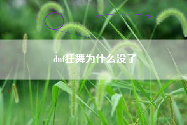 dnf狂舞为什么没了