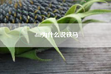 dnf为什么说铁马