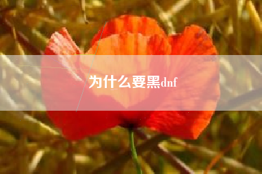 为什么要黑dnf