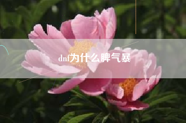 dnf为什么脾气暴