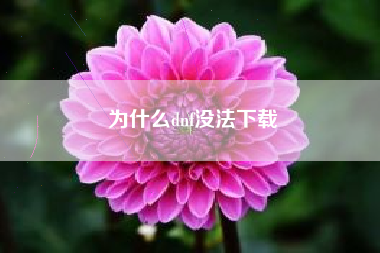 为什么dnf没法下载