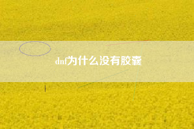 dnf为什么没有胶囊
