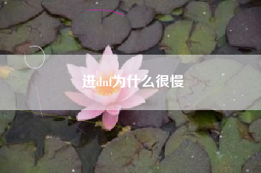 进dnf为什么很慢