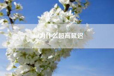 dnf为什么超高延迟