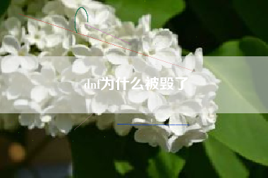 dnf为什么被毁了