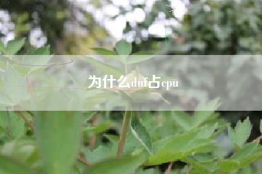 为什么dnf占cpu
