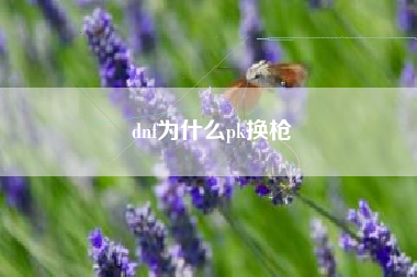 dnf为什么pk换枪