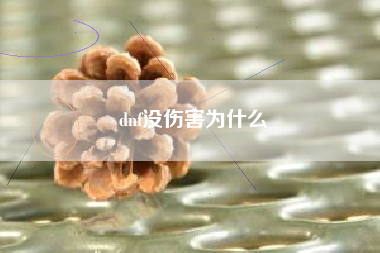 dnf没伤害为什么