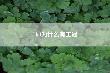 dnf为什么有王冠