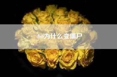 dnf为什么变僵尸