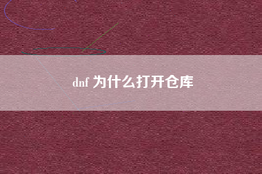 dnf 为什么打开仓库