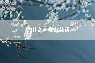 为什么dnf如此花钱