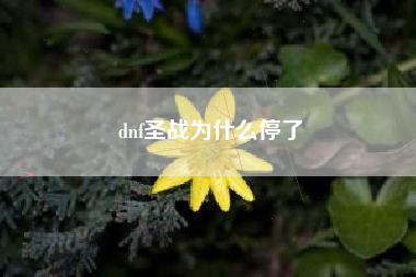 dnf圣战为什么停了