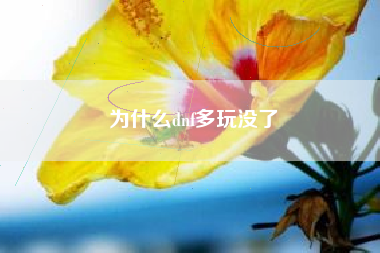 为什么dnf多玩没了