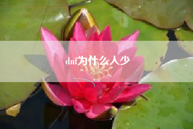 dnf为什么人少