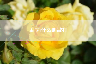 dnf为什么叫散打