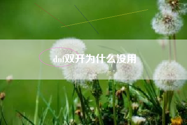 dnf双开为什么没用