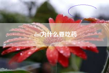 dnf为什么要吃药