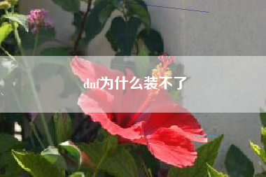 dnf为什么装不了