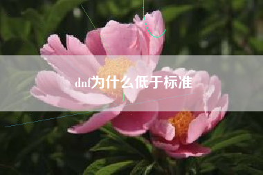 dnf为什么低于标准