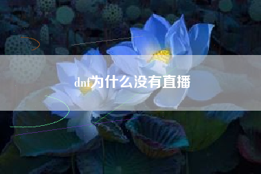 dnf为什么没有直播