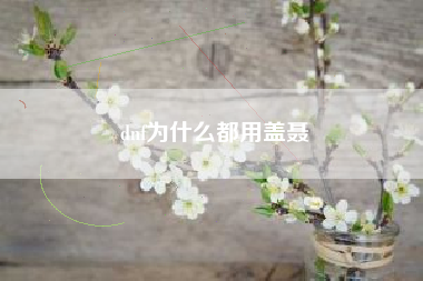 dnf为什么都用盖聂