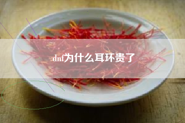 dnf为什么耳环贵了