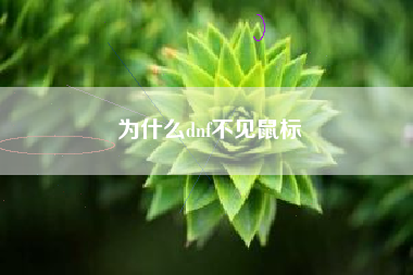 为什么dnf不见鼠标