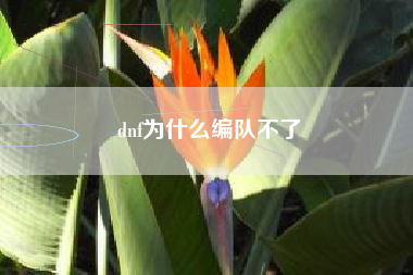 dnf为什么编队不了