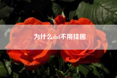 为什么dnf不用挂图