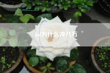 dnf为什么冲八万