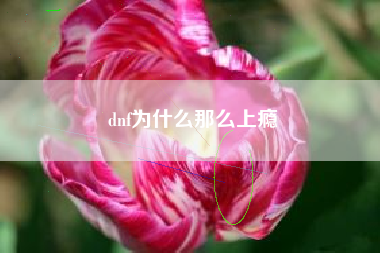 dnf为什么那么上瘾