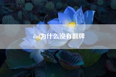 dnf为什么没有翻牌