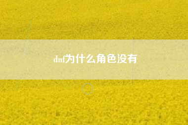 dnf为什么角色没有