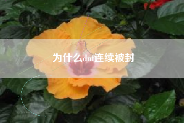 为什么dnf连续被封