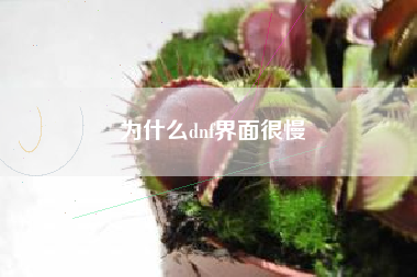 为什么dnf界面很慢