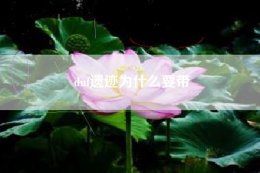 dnf遗迹为什么要带